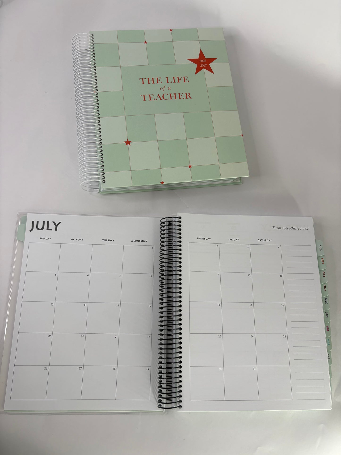 2026-2027 Teacher Mastermind Planner, Swiftie Inspired Planner