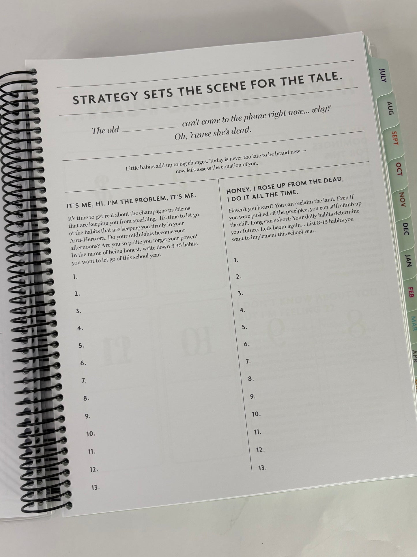 2026-2027 Teacher Mastermind Planner, Swiftie Inspired Planner