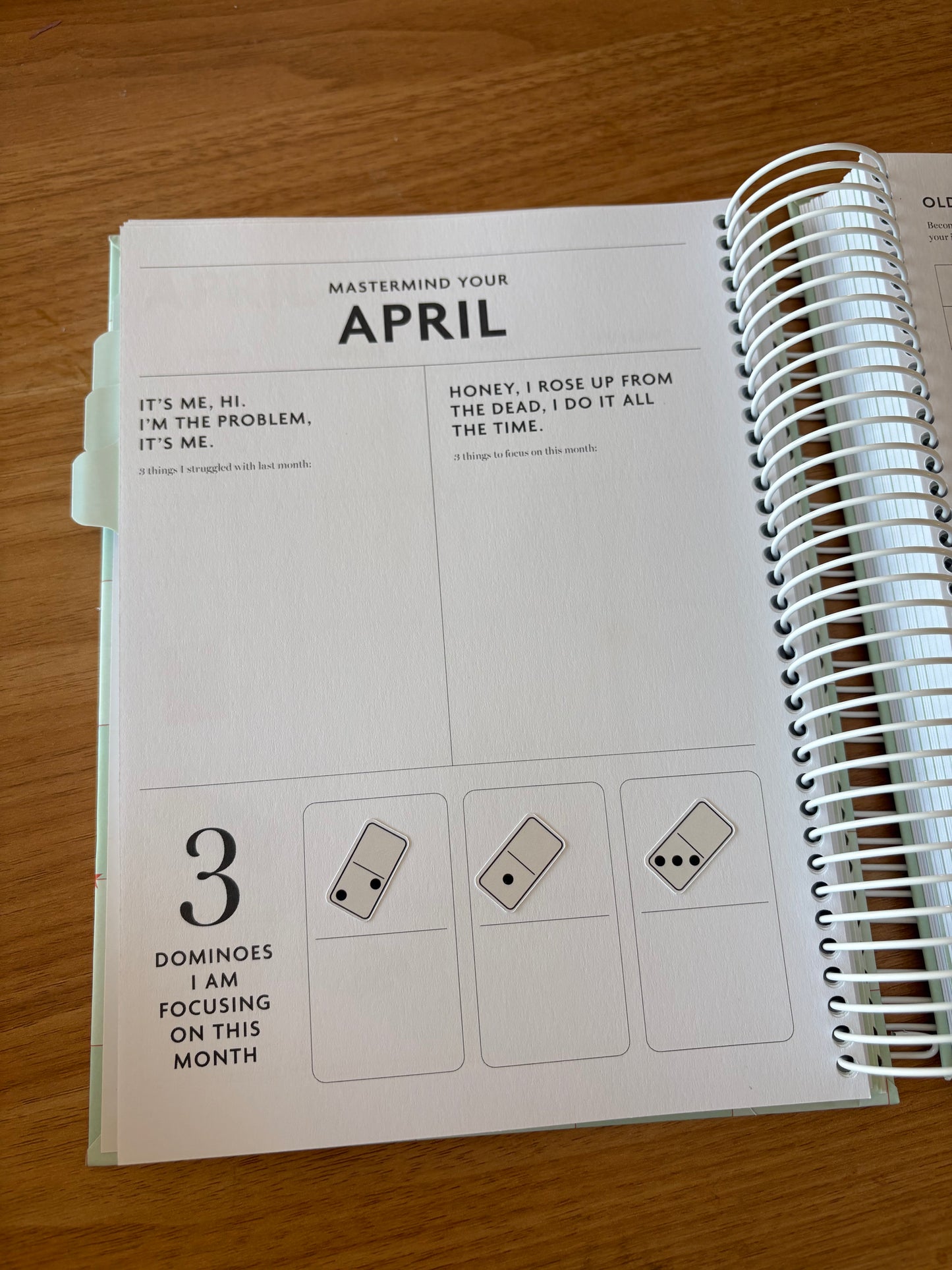 Mastermind Planner Sticker Pack
