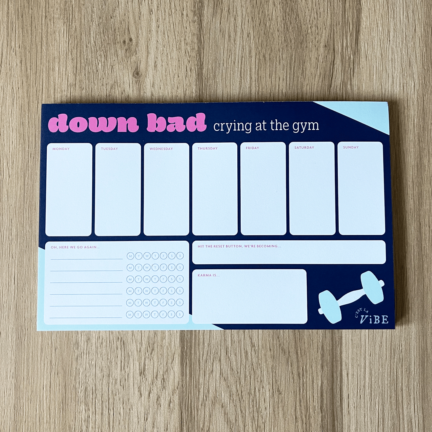 Down Bad Pad, Swiftie Inspired Fitness Tracker